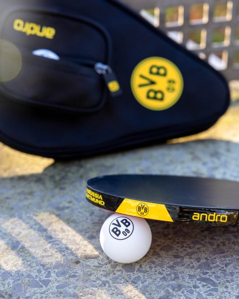 andro-BVB-Tischtennisbaelle-10-Detail-161-021-081-003