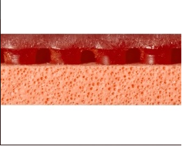 Hurricane Pro Turbo Orange schnitt